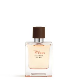 Terre d'Hermès Eau Intense Vétiver - Eau de Parfum
